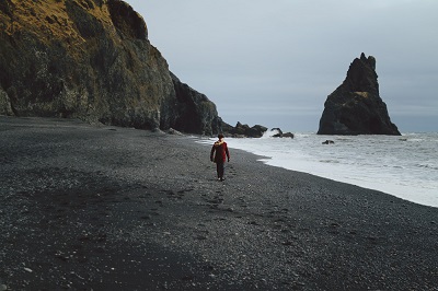 Vík Black Sand Beach Food Adventure